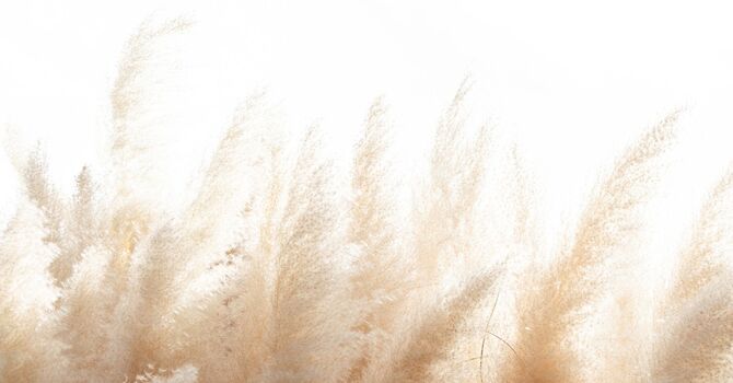 Sound Meditation